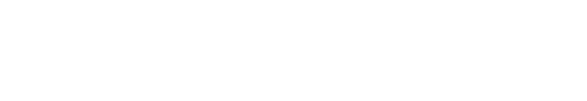 партнер баттла