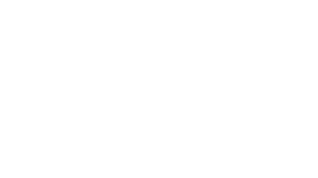 партнер баттла